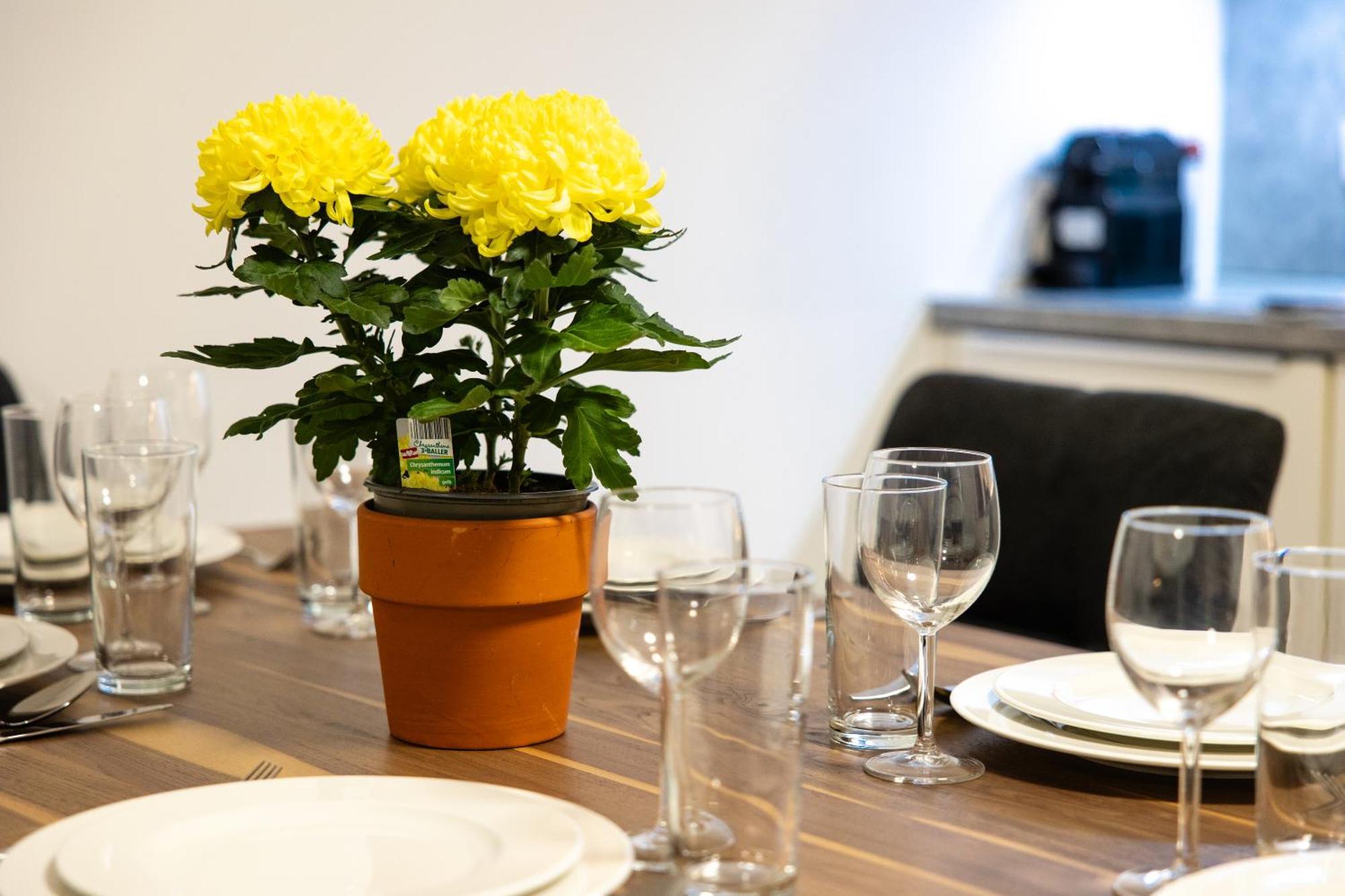 Myapartments Vienna Rooftop Экстерьер фото